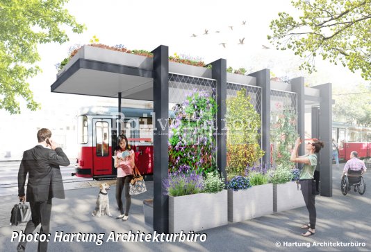 Lavender And Jasmine On The Roof: Wiener Linien's Pilot Project For A Cool Tram Stop At Parliament