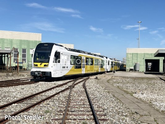 Ferrovie della Calabria ordered more DMUs