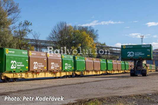 20 years of WoodTainers