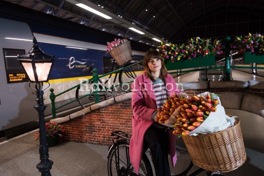 Eurostar Steps-Up Services To Amsterdam